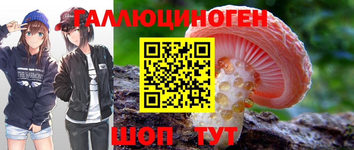 Прохладный  Галлюциногенные грибы Cubensis  Псилоцибиновые грибы ЛСД  купить  сайты  Вход с VPN 