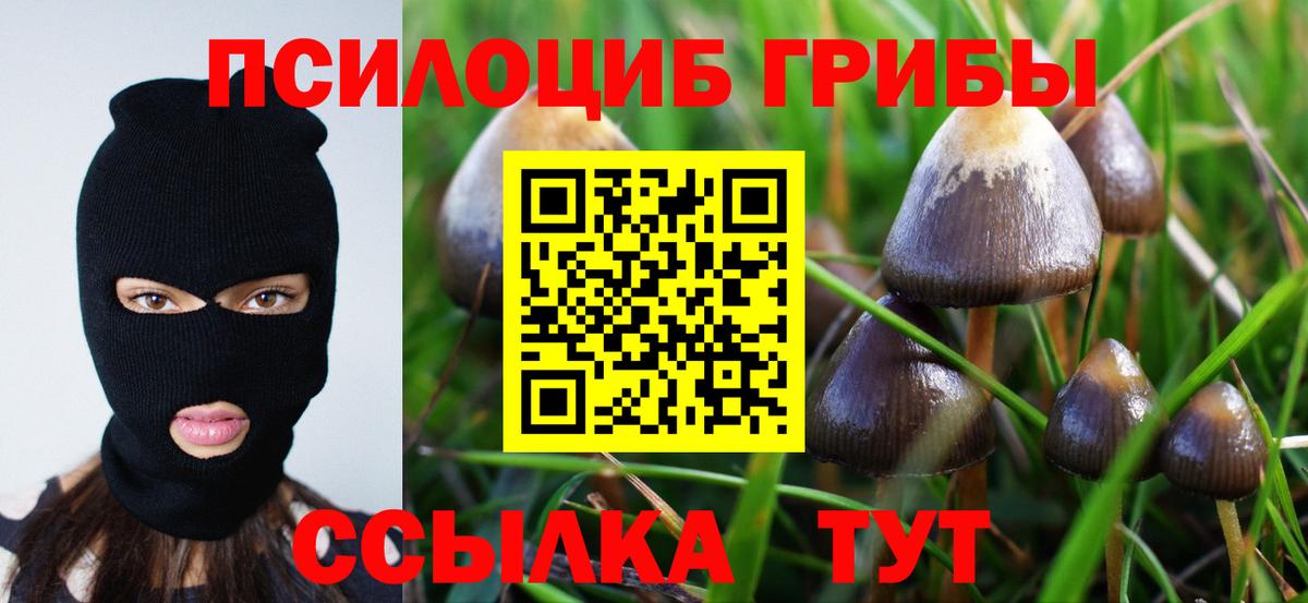 ГАШИШ  МАРИХУАНА  Меф МЯУ МЯУ   Прохладный  Вход с VPN  Cocaine 