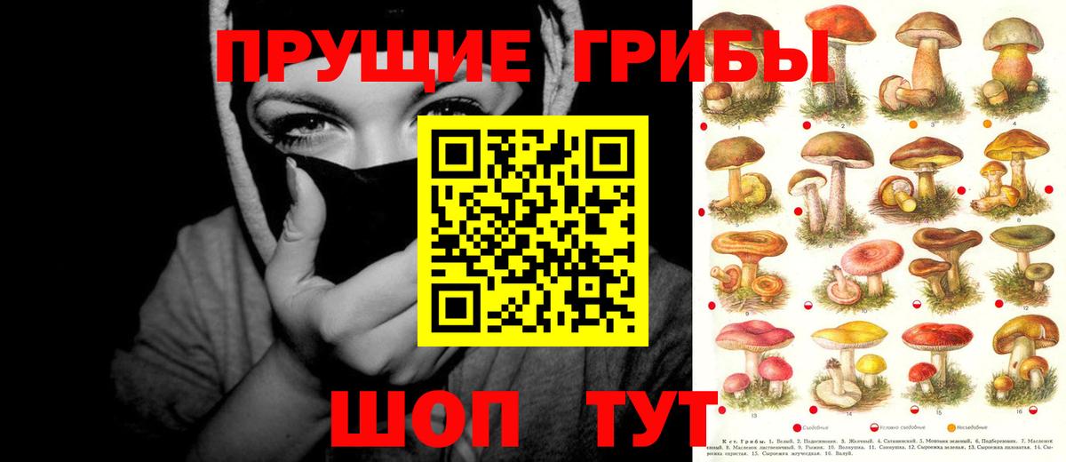 Галлюциногенные грибы MAGIC MUSHROOMS Прохладный